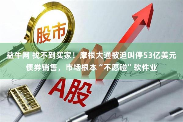 益牛网 找不到买家！摩根大通被迫叫停53亿美元债券销售，市场根本“不愿碰”软件业