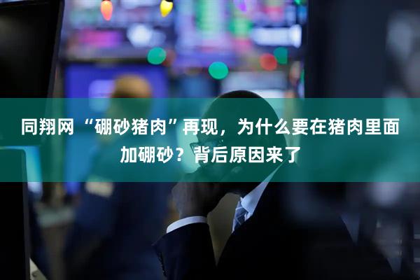 同翔网 “硼砂猪肉”再现，为什么要在猪肉里面加硼砂？背后原因来了