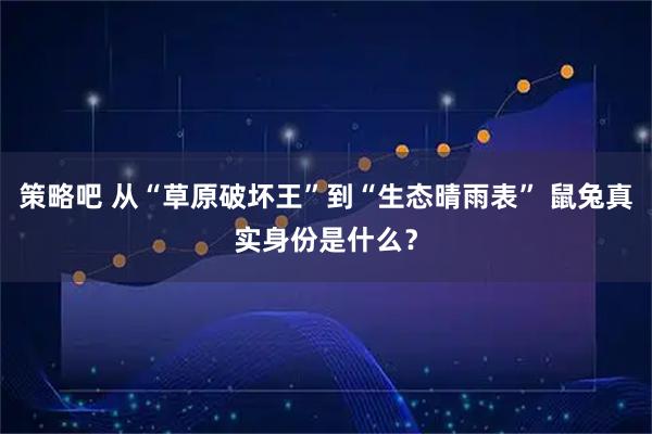 策略吧 从“草原破坏王”到“生态晴雨表” 鼠兔真实身份是什么？